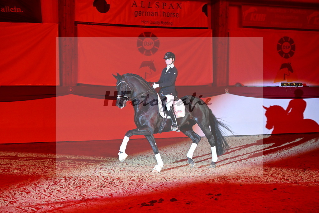 DSP Dream Royal_Arturi_2255203 | hf-fotografie - Realisiert mit Pictrs.com