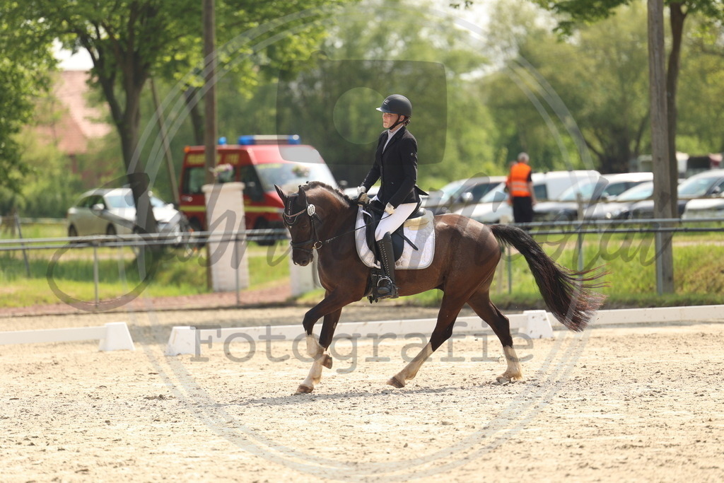 994A6564 | sabrinanicolaifotografie - Realisiert mit Pictrs.com