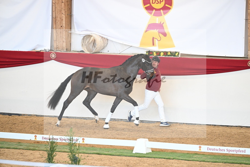 Kat.-Nr. 87 v. Vitalis_Berger _ Beckmann_2250942 | hf-fotografie - Realisiert mit Pictrs.com