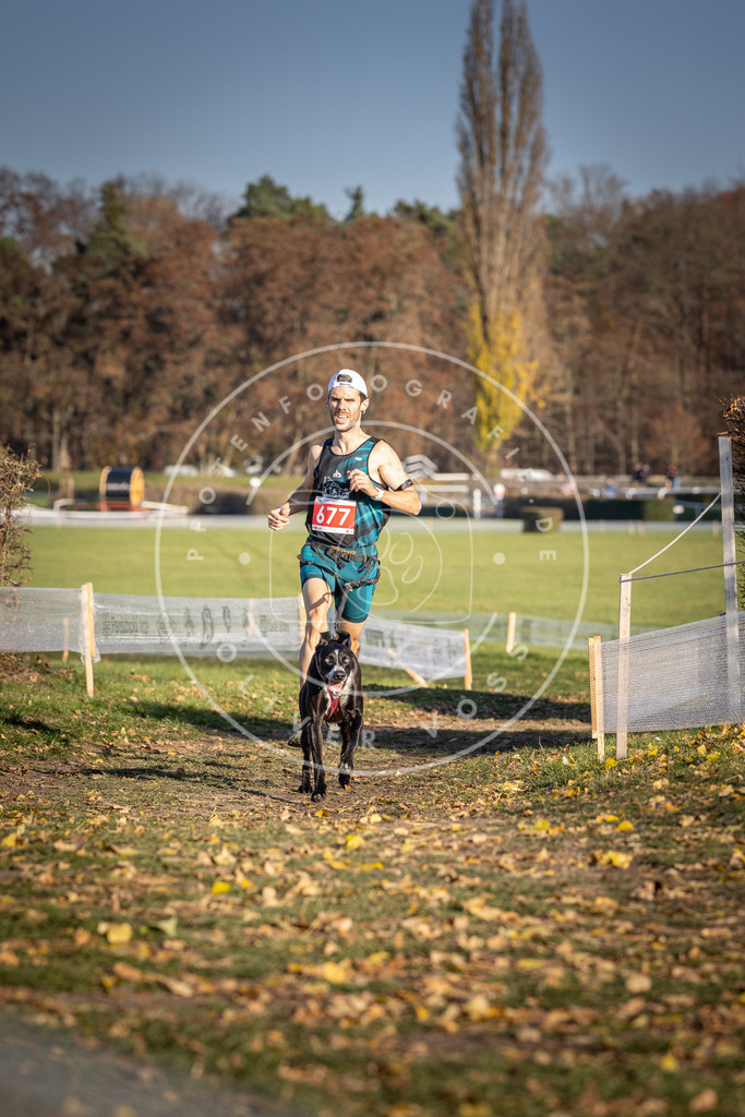CaniXpix_DV3A0978 | Hundefotografie, Tierfotograf, Pfotenfotografie, Fotoshooting Hund, Hunde Portrait, Hundesport, Hundeportraits, Heideshooting, Hunde, Sportfotograf, Hundefotograf, Turnierhundsport, THS,  - Realisiert mit Pictrs.com