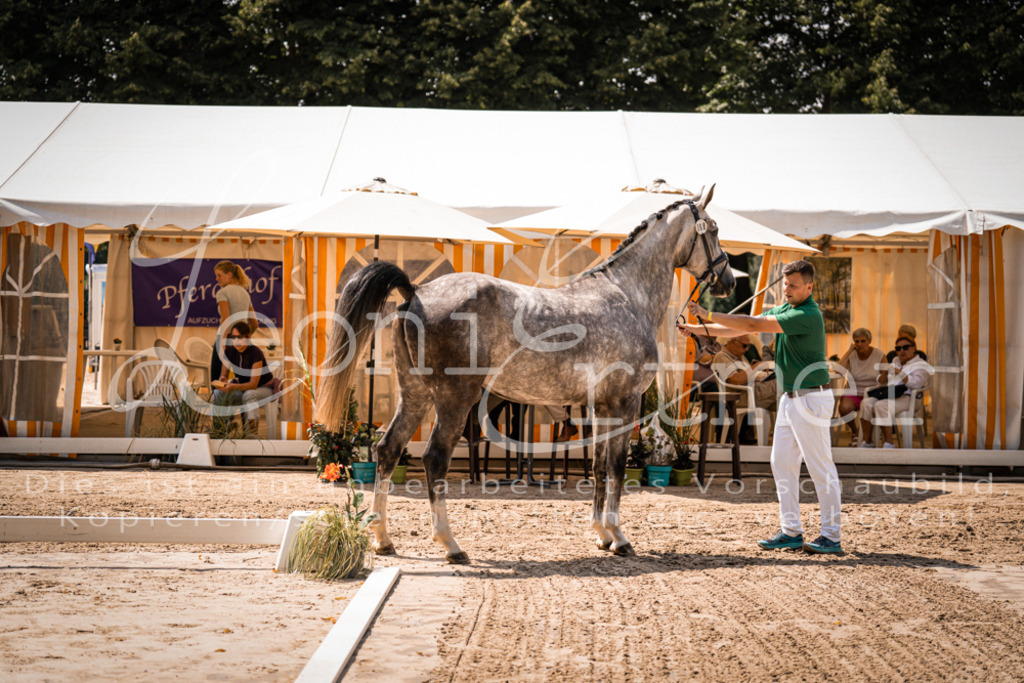 1.Fr00073 | Leoni Ertmer Photography - Realisiert mit Pictrs.com