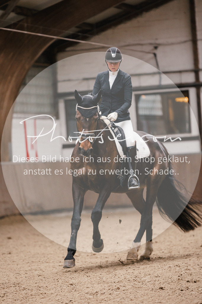 3I6A6793 | Stimmungsvolle Portraits und Reitsportfotografie im Ruhrgebiet und im Münsterland.

Pferdefotografie, Hundefotografie, Tierfotografie, Reportagen, Portraits von Tier und Mensch, Turnierfotografie in Bochum, Recklinghausen, Marl, Haltern am See, Dülmen.. - Realisiert mit Pictrs.com