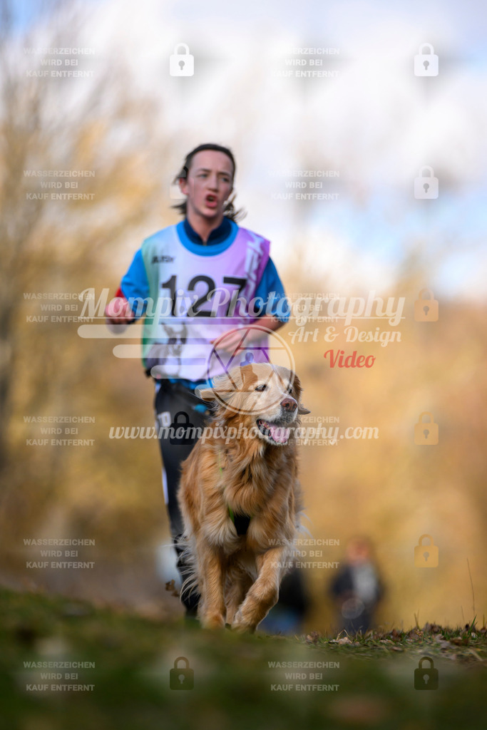 MompixPhotography_10Schwabentrail2026_SO_Canicross-63 | PayLife