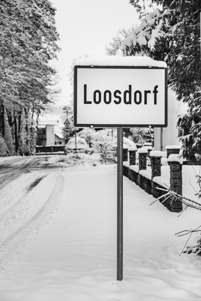 _ 3382_WINTER26_7989 | WInteraufnahmen Loosdorf 2026