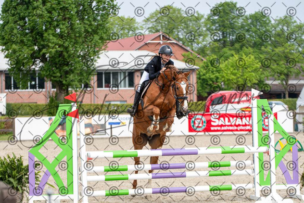 KPT_2532 | andre_photographic