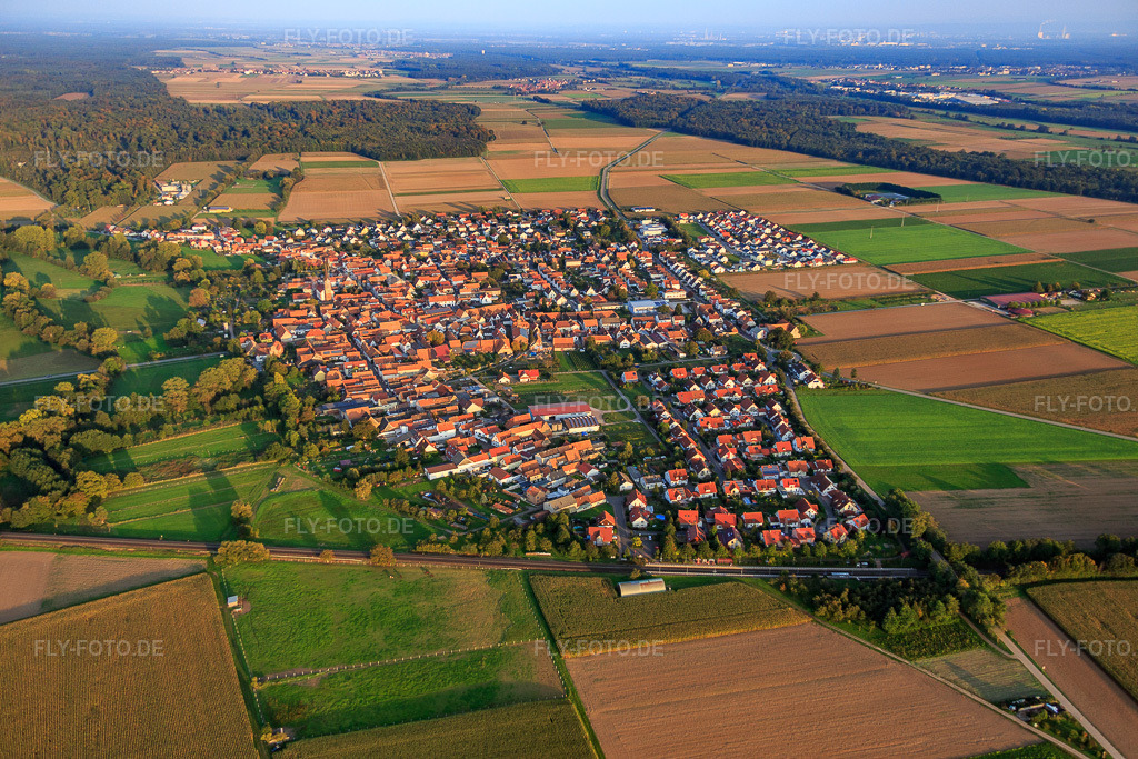 Luftbild: Dorfansicht von Westen in Steinweiler im Bundesland Rheinland-Pfalz in Deutschland. Foto: IMG_073986.jpg vom 03.10.2014 durch Werner Riehm/FLY-FOTO.de