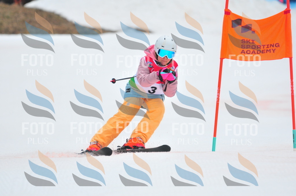 C0400 | holidayphoto