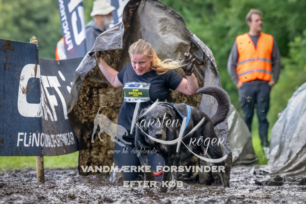 1153_ZZ90070-Bearbeitet | kk-dogfotos