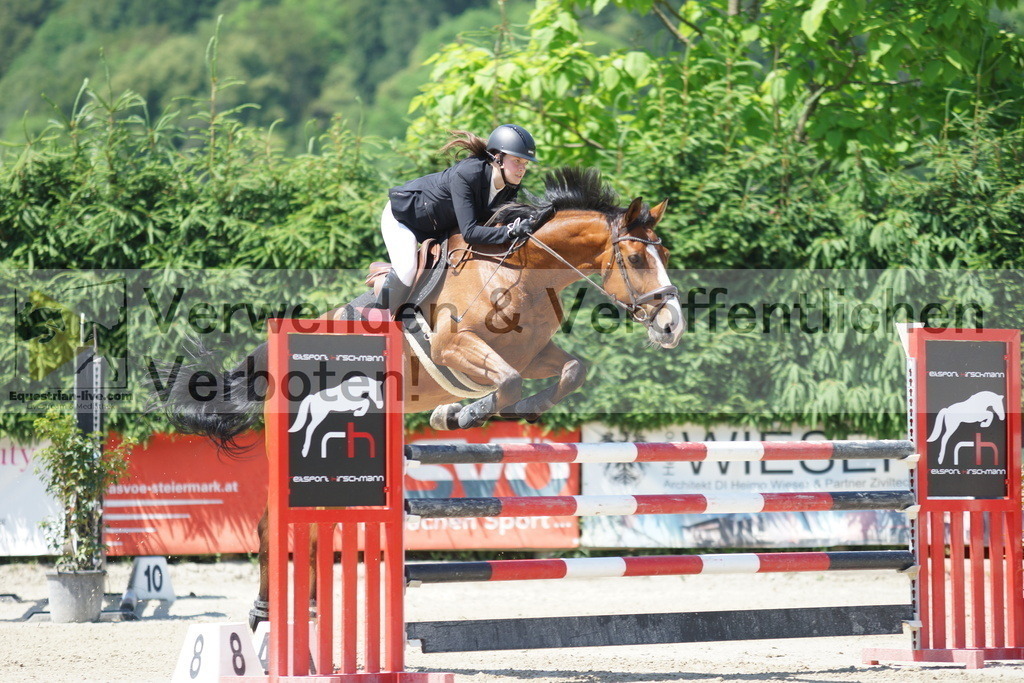DSC00773 | equestrian-live-com