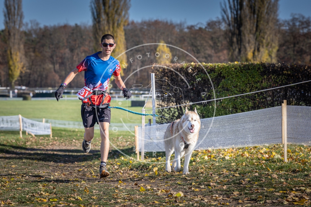 CaniXpix_DV3A9111 | Hundefotografie, Tierfotograf, Pfotenfotografie, Fotoshooting Hund, Hunde Portrait, Hundesport, Hundeportraits, Heideshooting, Hunde, Sportfotograf, Hundefotograf, Turnierhundsport, THS,  - Realisiert mit Pictrs.com