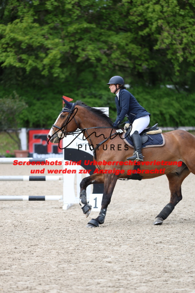 A40A2188 | lmwpictures - Realisiert mit Pictrs.com