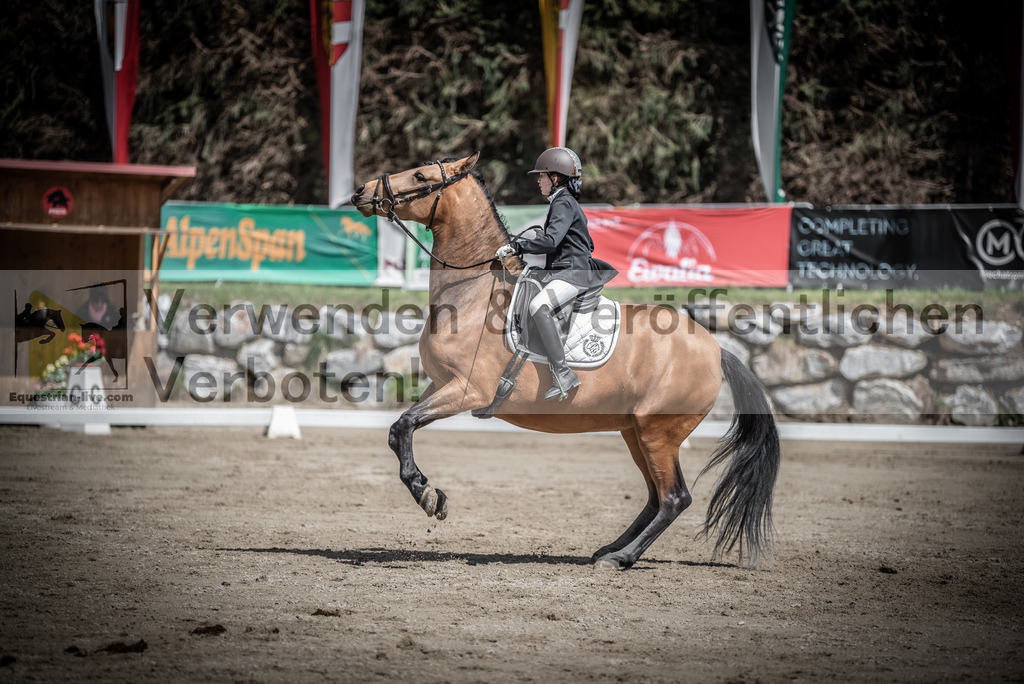 DSC_0807 | equestrian-live-com