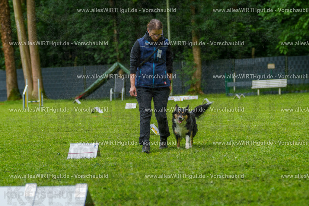 @allesWIRTHgut_Tierfotografie - www.allesWIRTHgut.de - 7R501965 | Professionelle Tierfotografie in Mönchengladbach von Daniel Wirth (allesWIRTHgut). Liebevolle & natürliche Bilder von Hunden & Katzen für unvergessliche Erinnerungen.