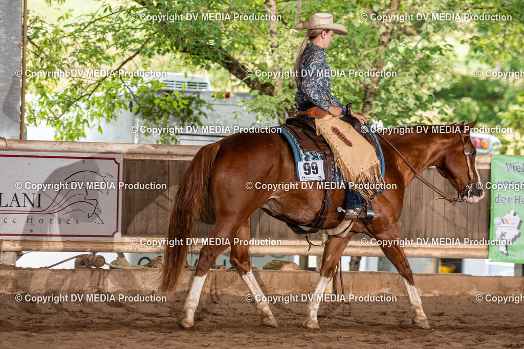 Erbach Tag 1-1094 | dv-media-shop - Realisiert mit Pictrs.com