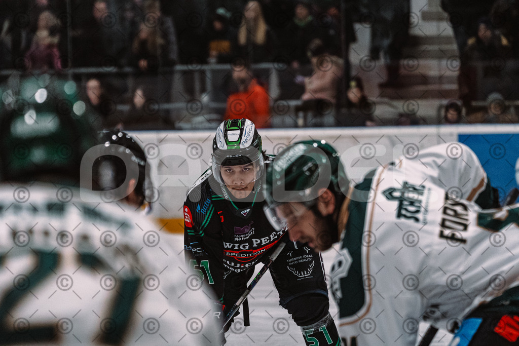 Alligators_vs_Erding_01_02_2026-07 | Höchstadt Alligators Fotogalerie: Eishockey-Action aus Franken. Professionelle Spielfotos, Portraits & Stadionbilder zum Download. Jetzt entdecken! - Realisiert mit Pictrs.com