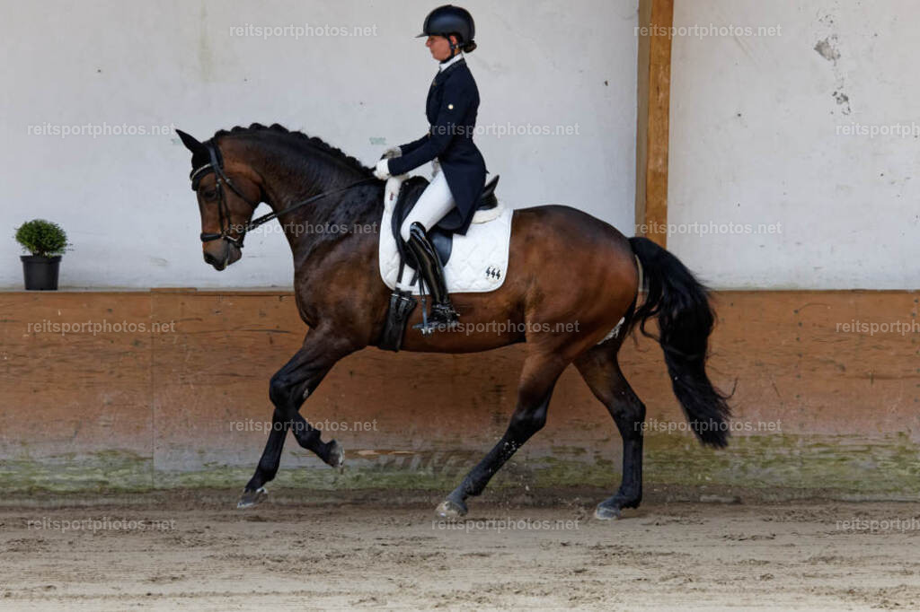JHE32392 | JoYa Fotografie - Realisiert mit Pictrs.com