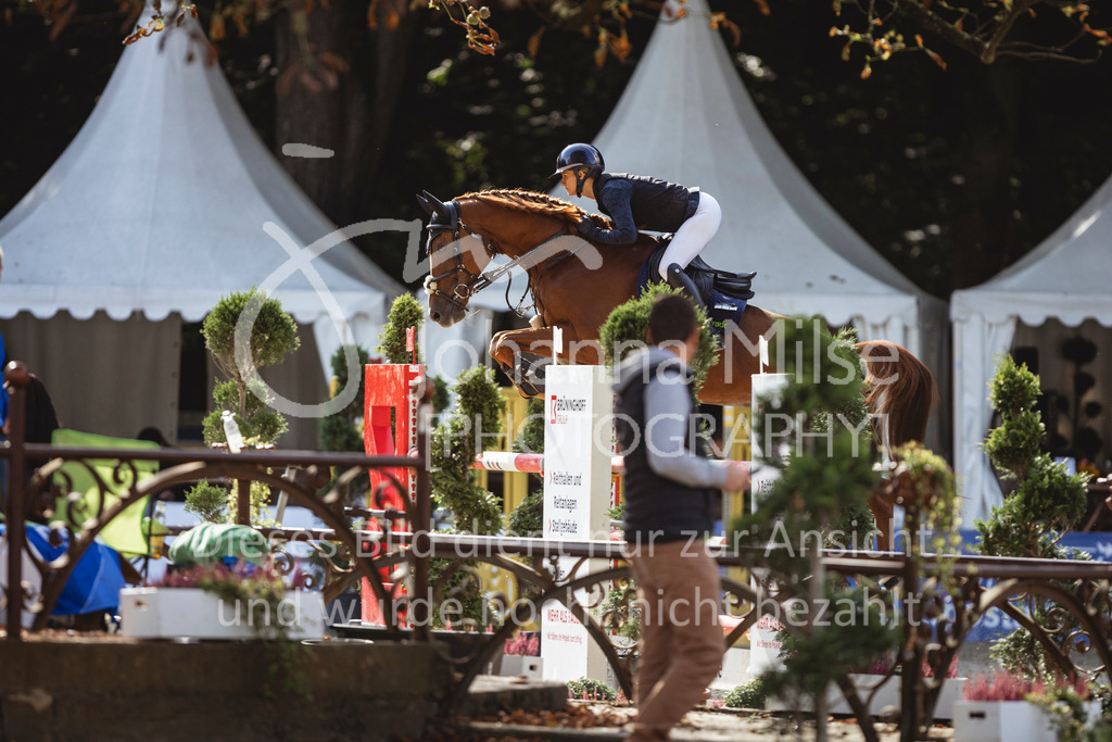 240914_OWLCh_AmateurL-635 | Deine schönsten Turniermomente als professionelle Fotos! Entdecke hochwertige Pferdesport-Fotografie im Online-Shop. Jetzt Fotos finden & bestellen!