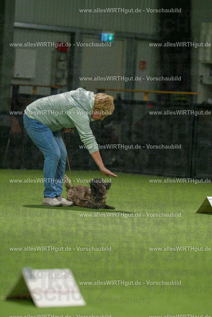 7R508543 | Professionelle Tierfotografie in Mönchengladbach von Daniel Wirth (allesWIRTHgut). Liebevolle & natürliche Bilder von Hunden & Katzen für unvergessliche Erinnerungen.