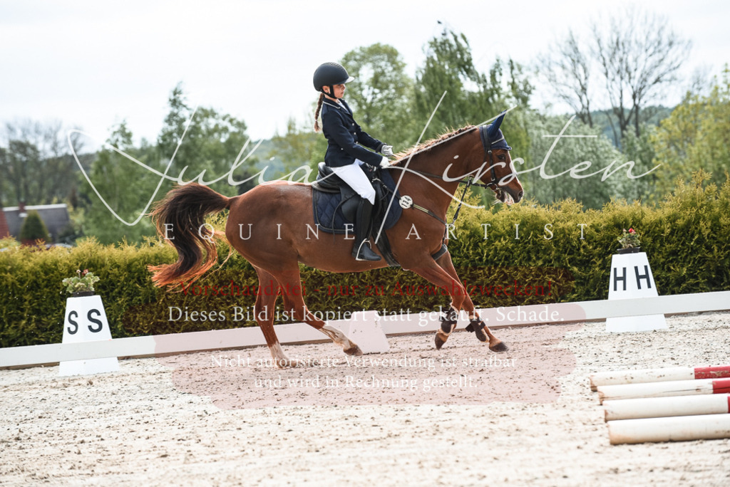 20230518_JK-Röhrsdorf-10-024 | Pferde- und Turnierfotografie in Westsachsen. Pferdeportraits, Auftragszeichnungen und intuitive Kunst.