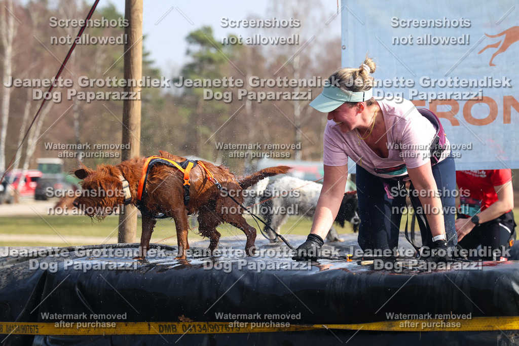 Dog Paparazzi - Strongdog North Mrz26-1720 | Dog Paparazzi Jeanette Grottendiek Fotografie & Videografie - Realisiert mit Pictrs.com