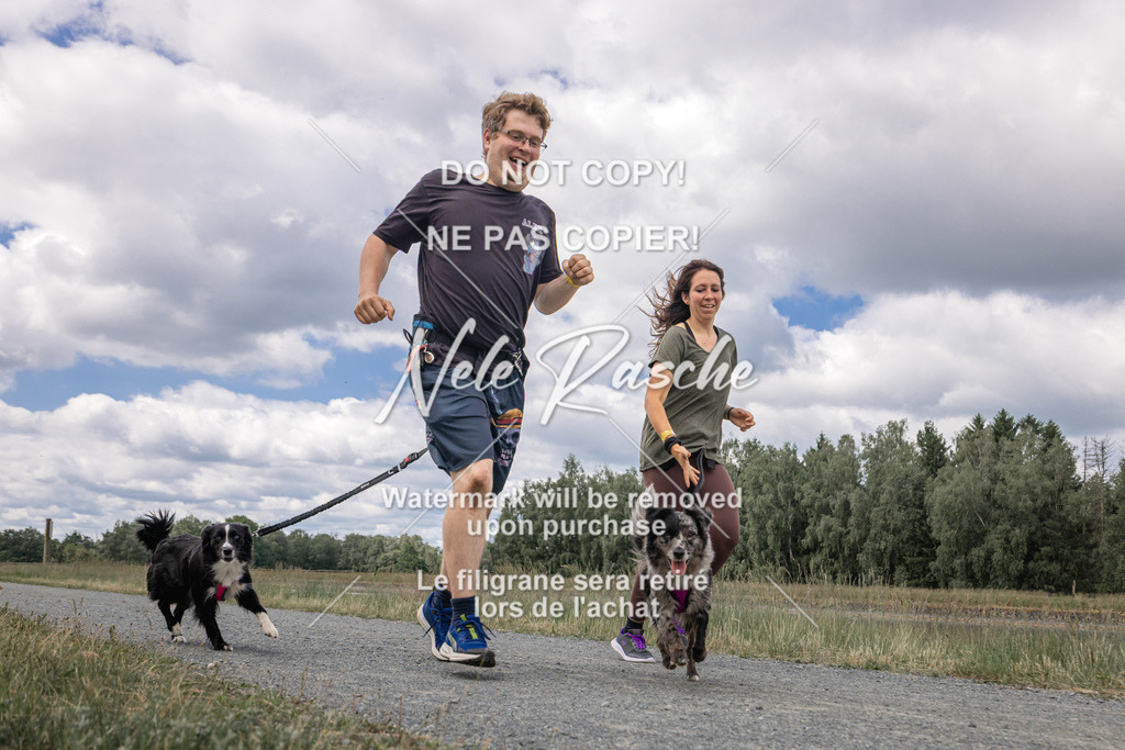 nelerasche_BuHu2026_SaCC1100-1200_169 | nelerasche