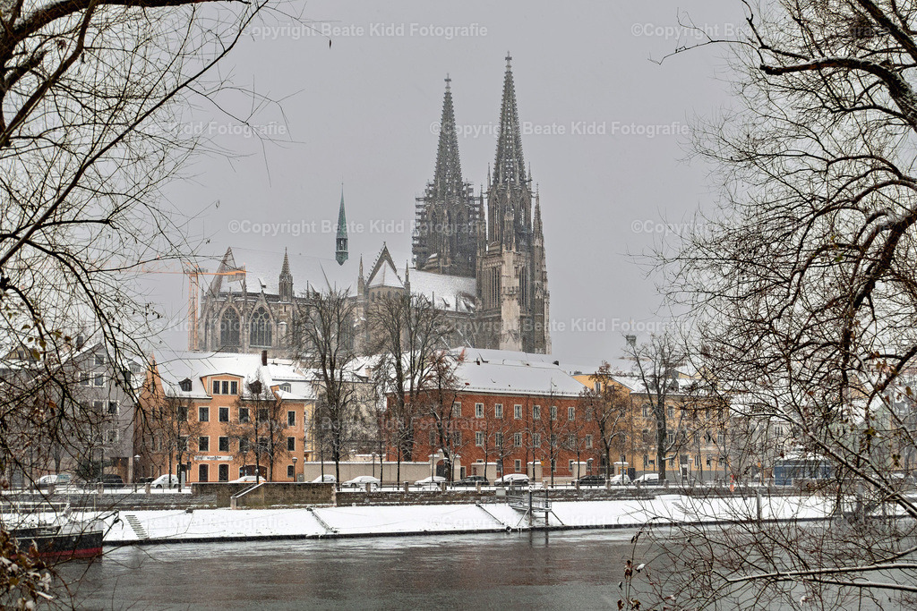 P1250558 | beatekidd-fotografie - Realisiert mit Pictrs.com