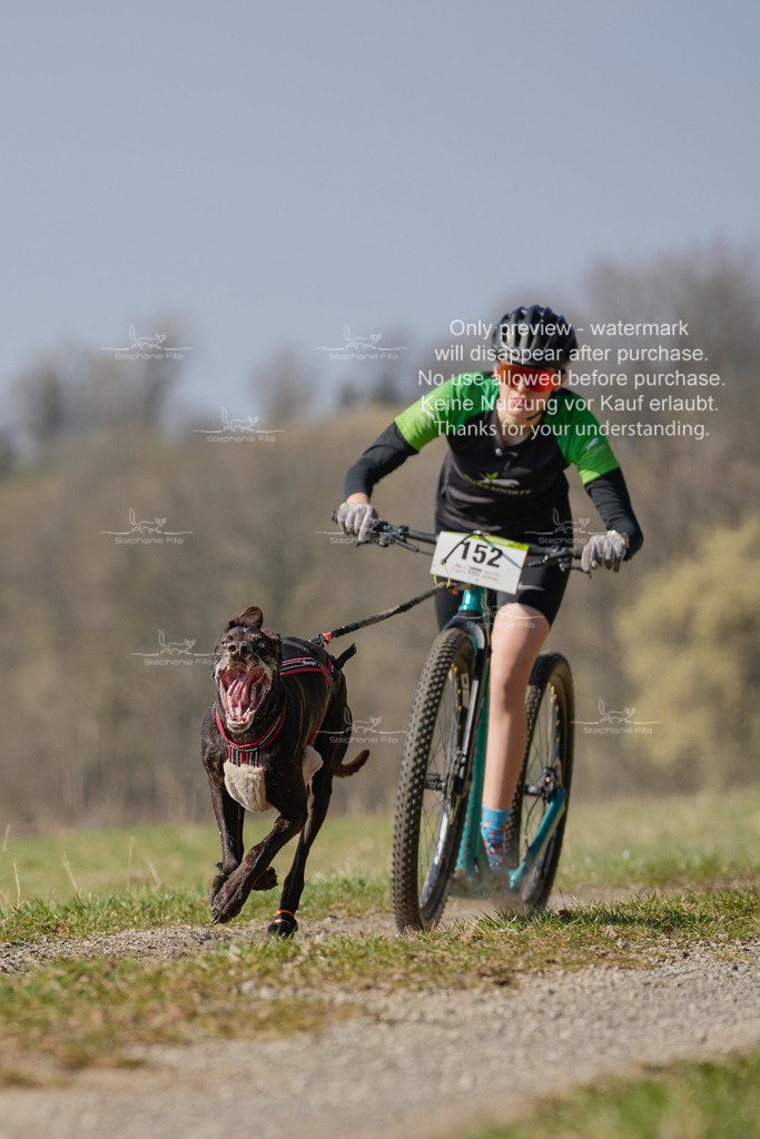 Scooter_Lang-71 | stephaniefillaphotographie - Realisiert mit Pictrs.com