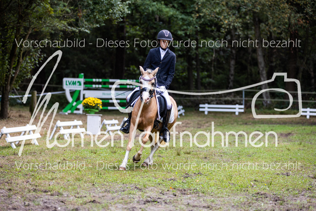 HB-Dressur-WB-006 | MomenTaufnahmen Pferdesportfotos