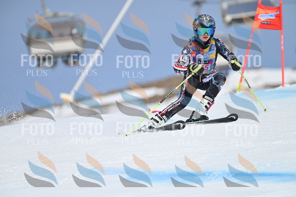 BGV_0144 | holidayphoto