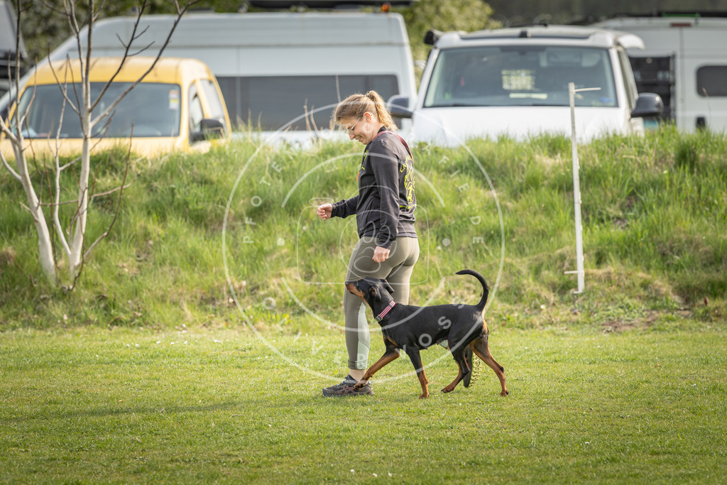 Pfotenfotografie_DV3A5005 | Hundefotografie, Tierfotograf, Pfotenfotografie, Fotoshooting Hund, Hunde Portrait, Hundesport, Hundeportraits, Heideshooting, Hunde, Sportfotograf, Hundefotograf, Turnierhundsport, THS,  - Realisiert mit Pictrs.com