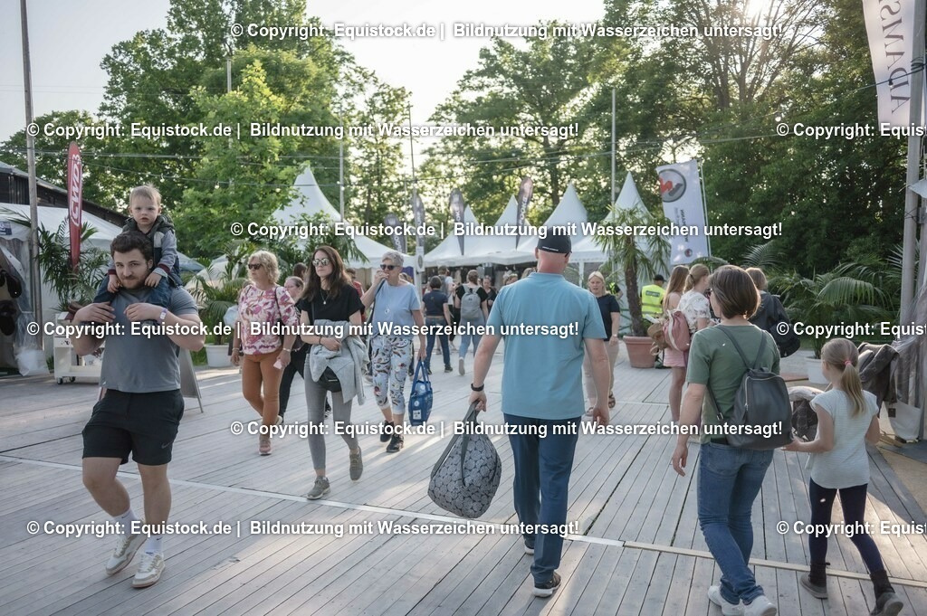 DSC_8687 | equistock