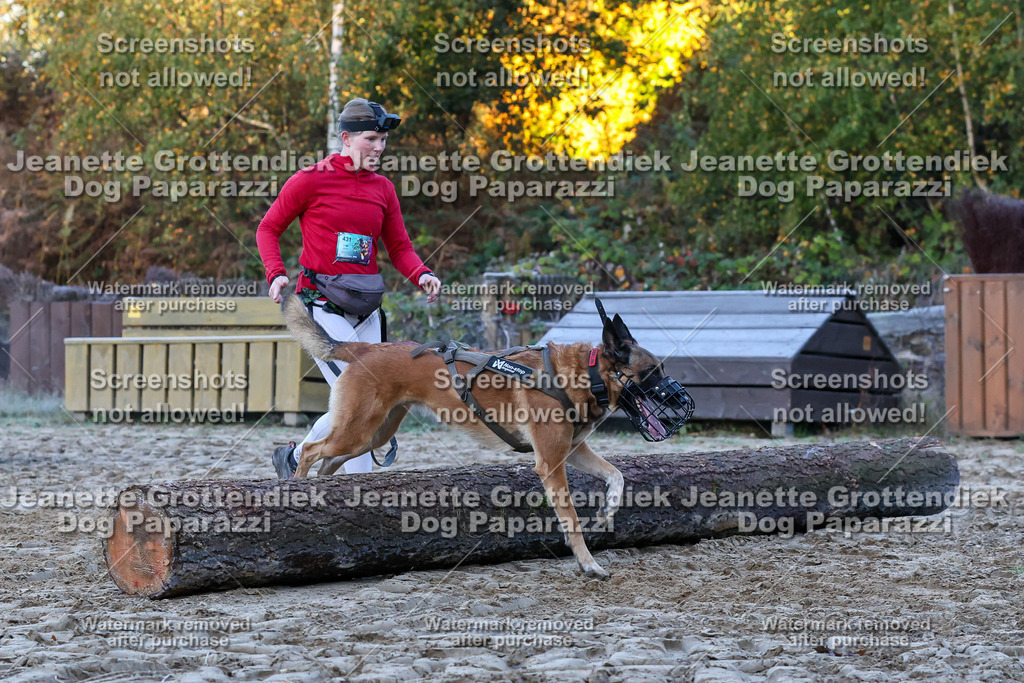 Dog Paparazzi - Strongdog 10-25-347 | Dog Paparazzi Jeanette Grottendiek Fotografie & Videografie - Realisiert mit Pictrs.com