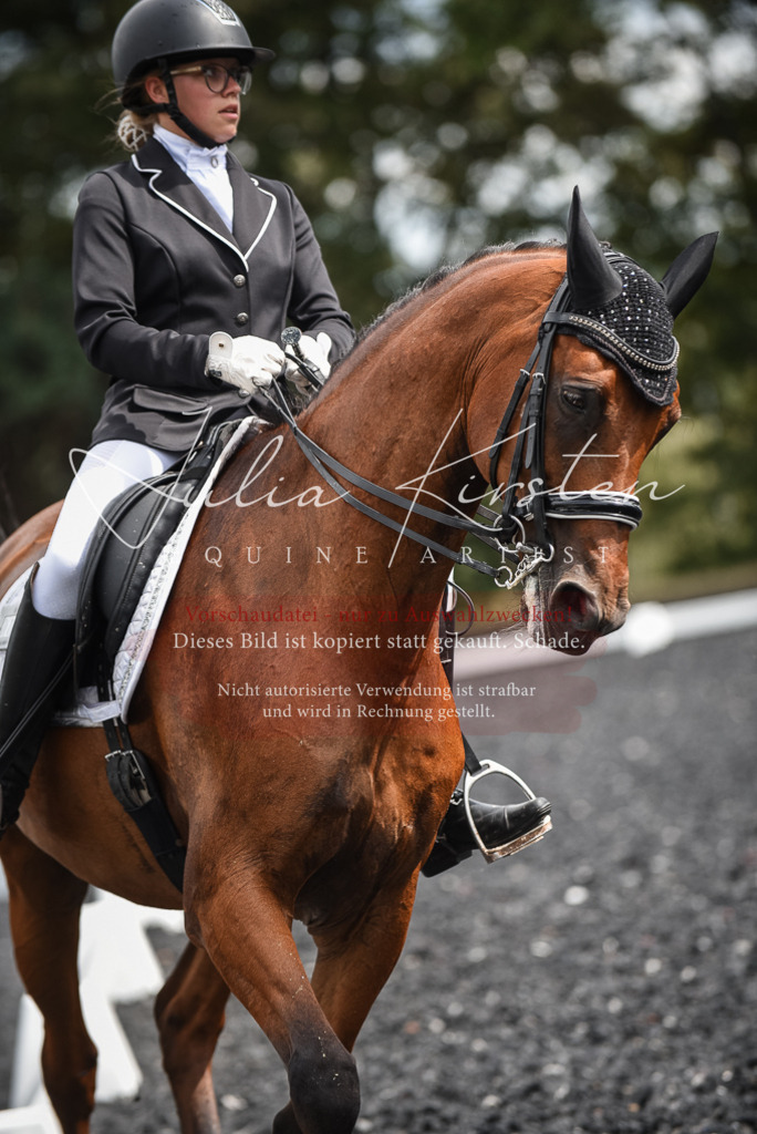 DSC_4989 | Pferde- und Turnierfotografie in Westsachsen. Pferdeportraits, Auftragszeichnungen und intuitive Kunst.