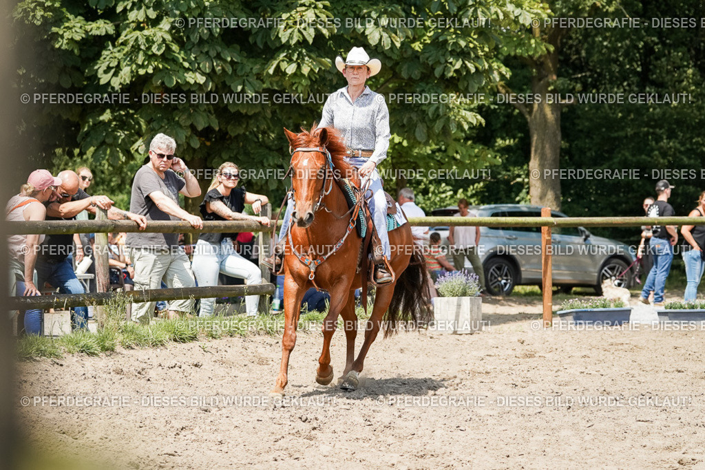 DSC09576 | Pferdegrafie