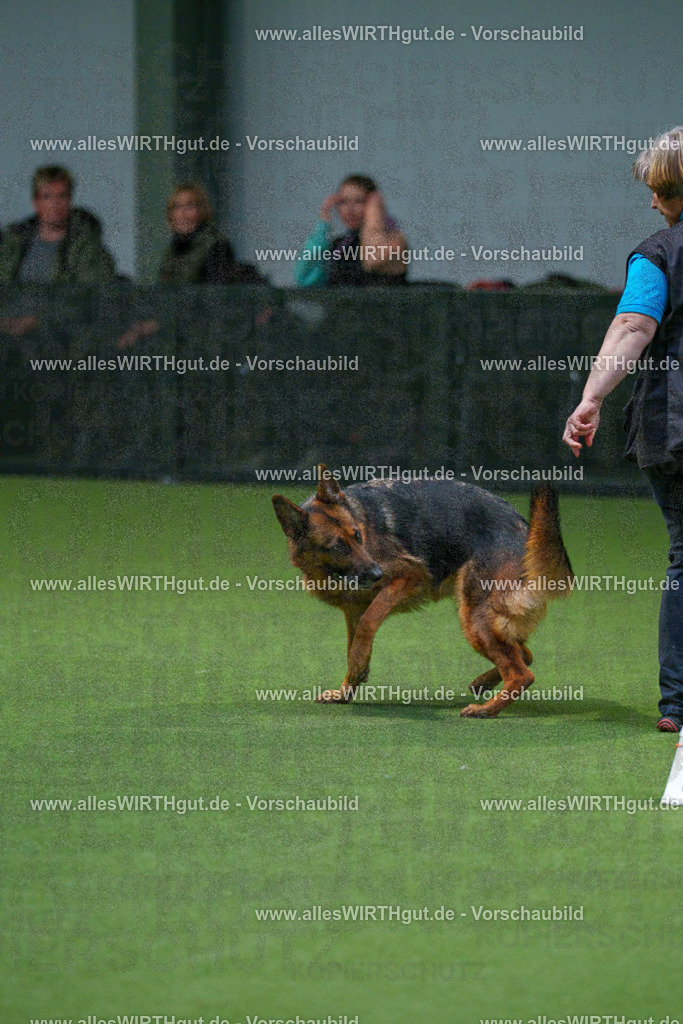 7R507945 | Professionelle Tierfotografie in Mönchengladbach von Daniel Wirth (allesWIRTHgut). Liebevolle & natürliche Bilder von Hunden & Katzen für unvergessliche Erinnerungen.