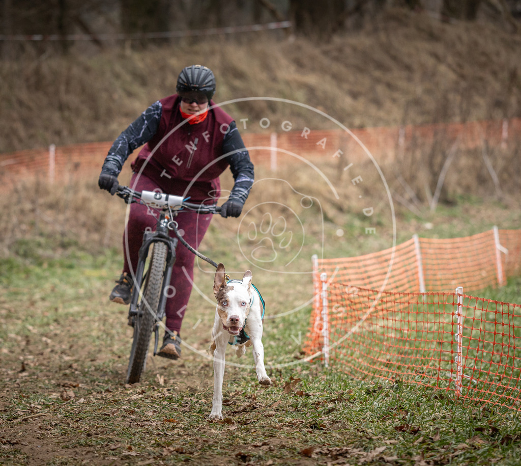 Pfotenfotografie_DV3A5569 | Hundefotografie, Tierfotograf, Pfotenfotografie, Fotoshooting Hund, Hunde Portrait, Hundesport, Hundeportraits, Heideshooting, Hunde, Sportfotograf, Hundefotograf, Turnierhundsport, THS,  - Realisiert mit Pictrs.com