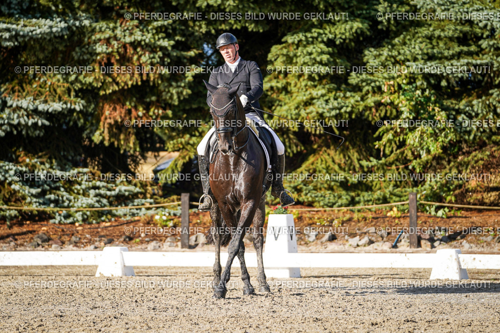 DSC00767 | Pferdegrafie