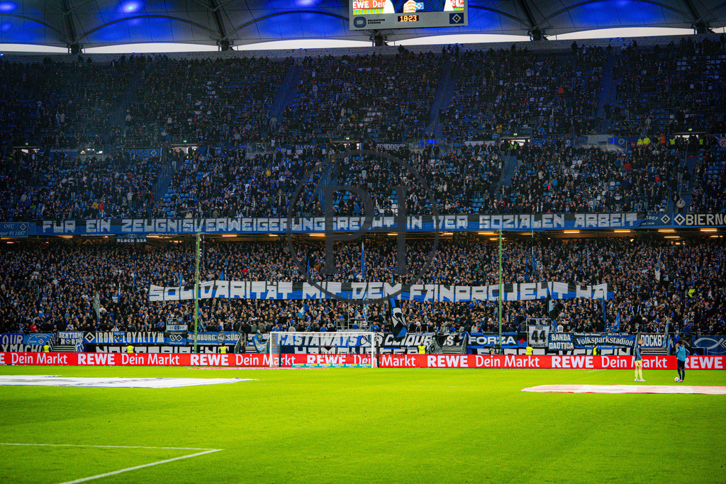 6. Spieltag HSV - Mainz 05_SC-55 | Philipp-Heist - Realisiert mit Pictrs.com