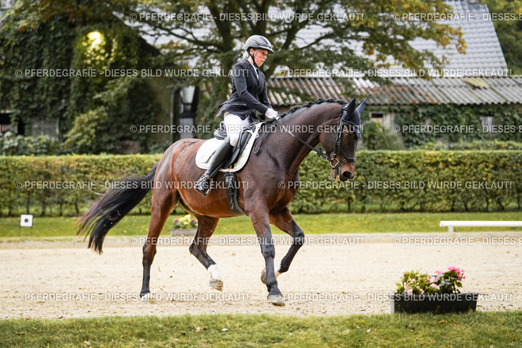 DSC06433 | Pferdegrafie