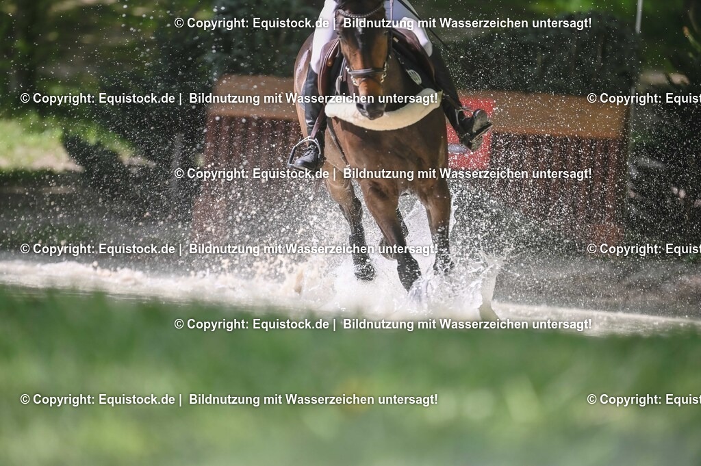 20250517_CCI2_Gelände_0961 | Foto: Thomas Hartig