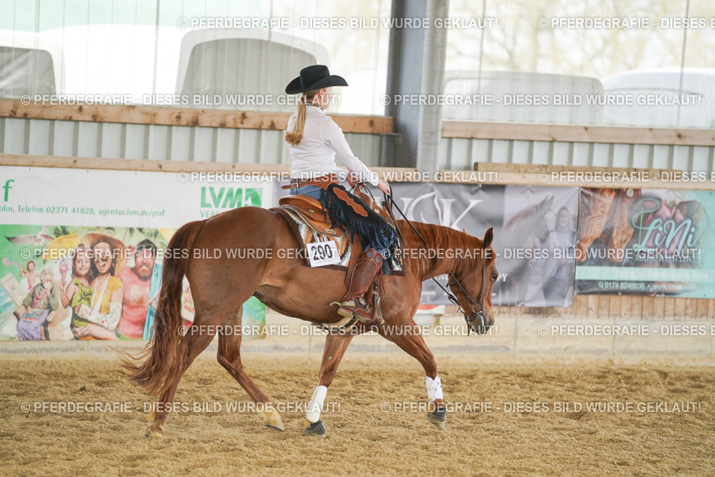 DSC06111 | Pferdegrafie