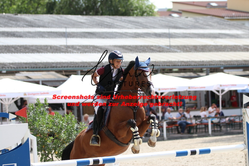 IMG_0331 | lmwpictures - Realisiert mit Pictrs.com