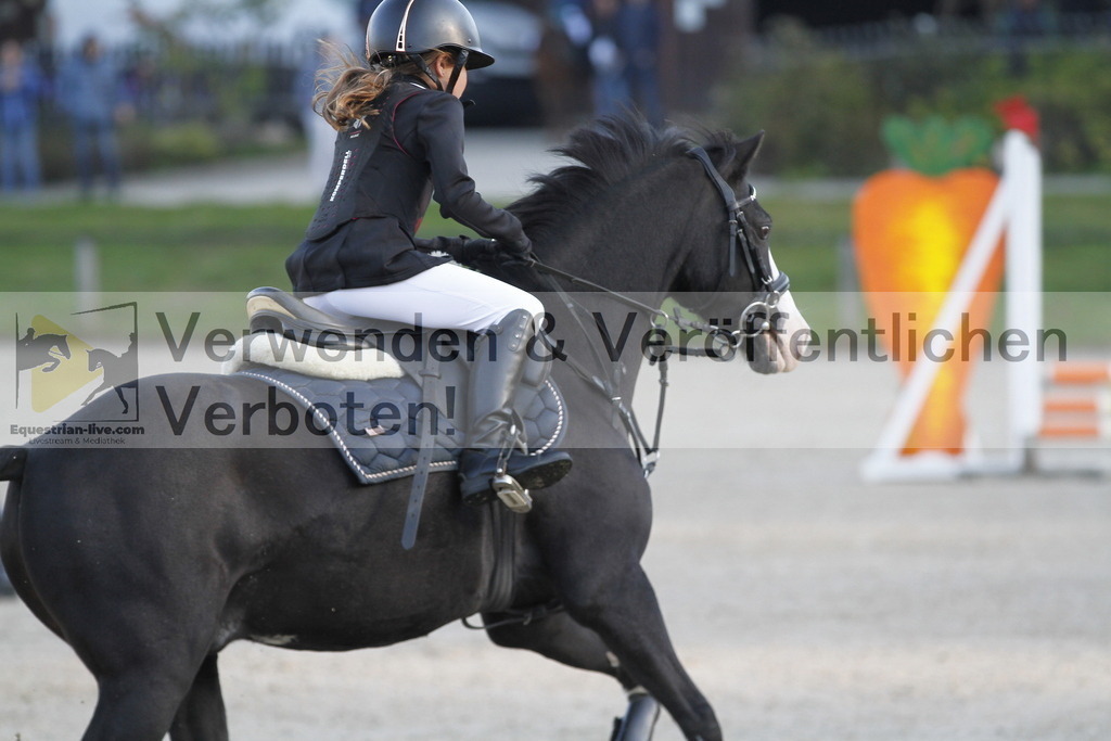 _MG_0669 | equestrian-live-com