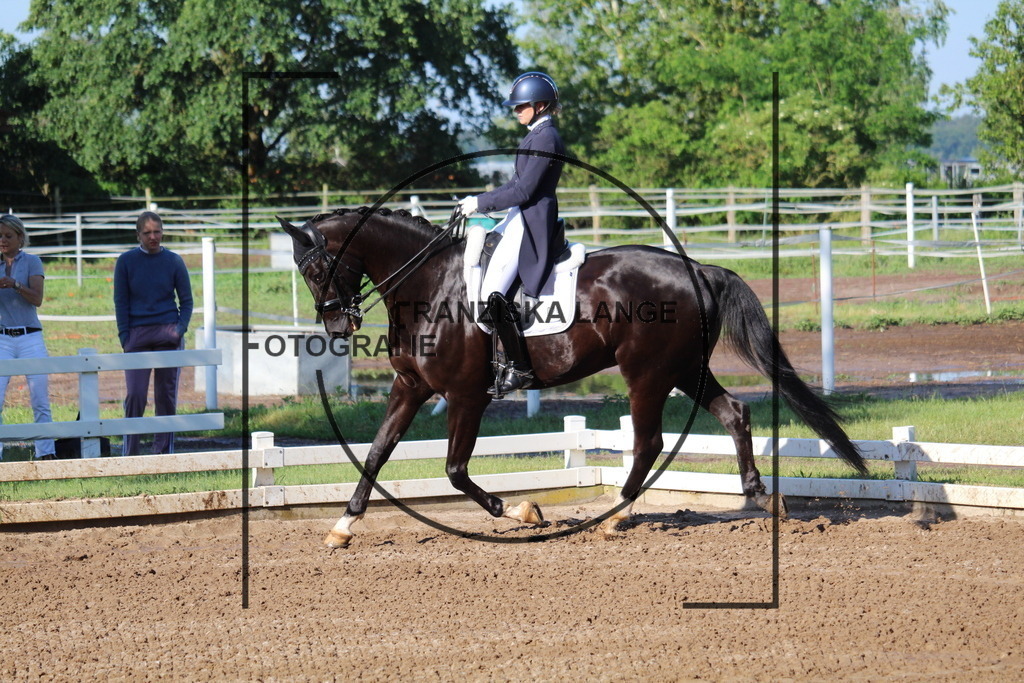 IMG_5867 | franziskalange - Realisiert mit Pictrs.com