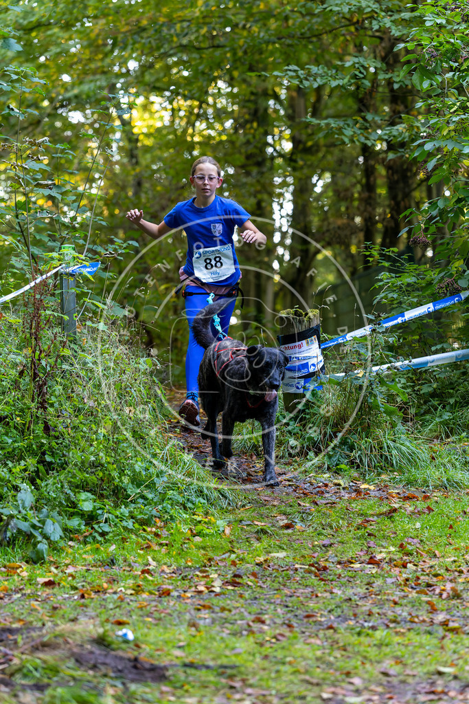 Pfotenfotografie_DV3A7651 | Hundefotografie, Tierfotograf, Pfotenfotografie, Fotoshooting Hund, Hunde Portrait, Hundesport, Hundeportraits, Heideshooting, Hunde, Sportfotograf, Hundefotograf, Turnierhundsport, THS,  - Realisiert mit Pictrs.com