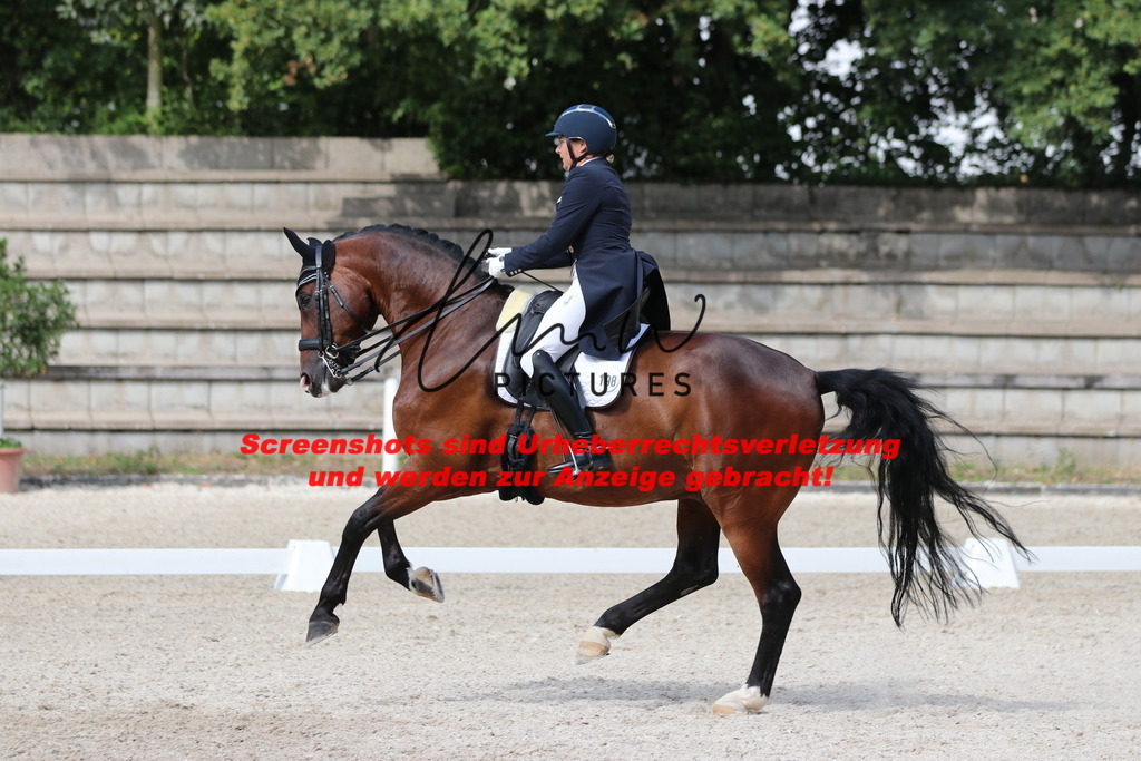 IMG_6823 | lmwpictures - Realisiert mit Pictrs.com