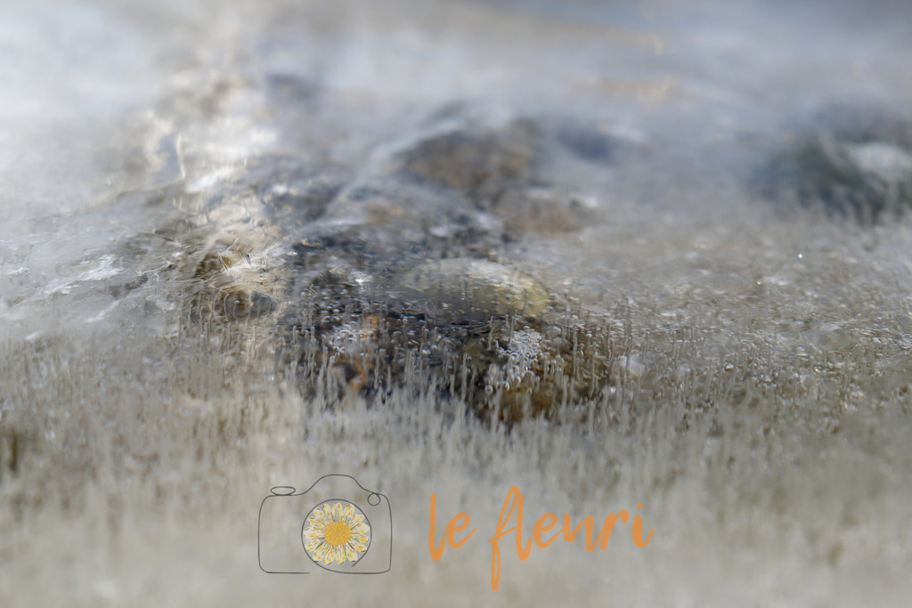 DSC_0304-NEF_DxO_DeepPRIME | Dies ist der Shop von Florian Blum - le fleuri. Langenthal, Bern, SchweizSie können hier meine oder ihre eigenen Fotos als Fotoprodukte kaufen. Tassen, Schlüsselanhänger, Taschen etc. können Sie hier gestalten.  - Realisiert mit Pictrs.com