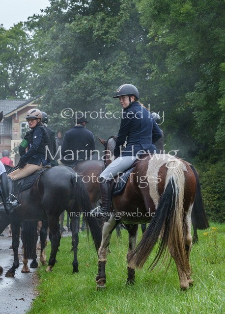 Jagd Perdoel 26 Sony-03572_MarinaHewig | Fotografie, FotoArt, PferdesportArt, Pferdesportfotografie, Landschaftsfotografie, Reisefotografie, Reise, Pferde - Realisiert mit Pictrs.com