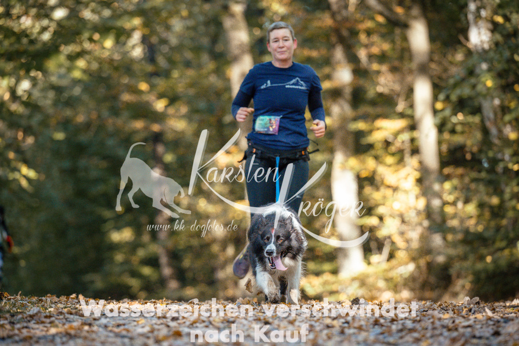 1101_ZZ91385 | kk-dogfotos