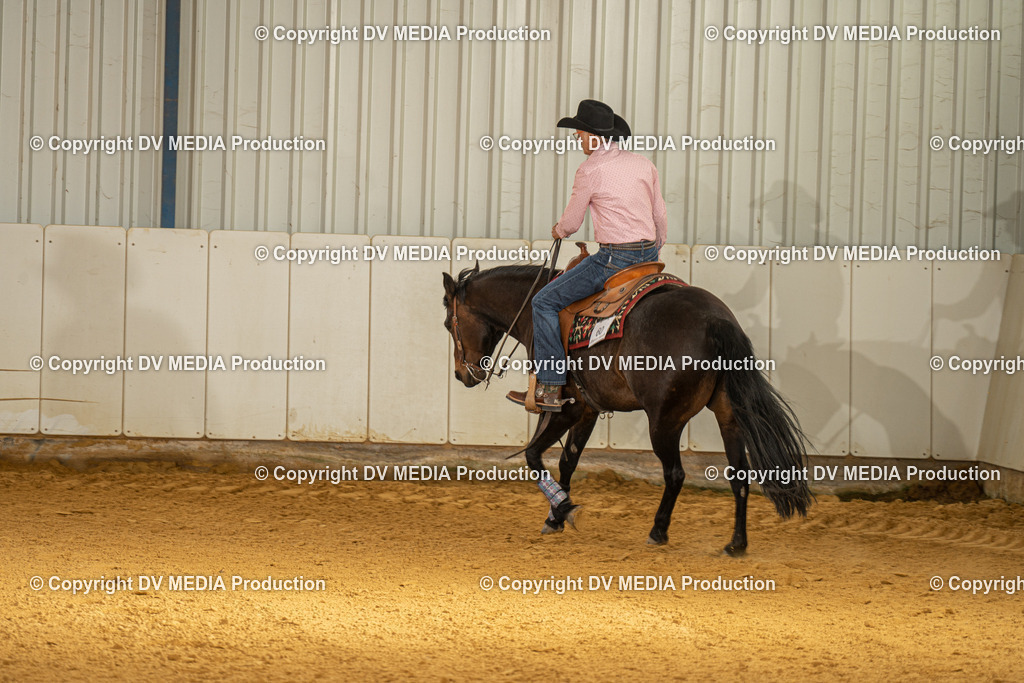 MIT01393 | dv-media-shop - Realisiert mit Pictrs.com